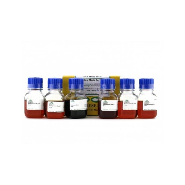 Dual Media Set, 100 ml EB & 500 ml OB